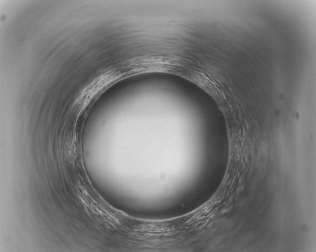 X0000055990338200508261730