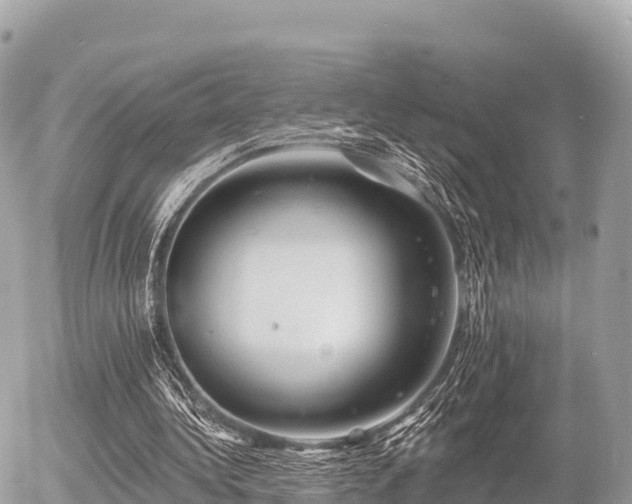 X0000055990340200508261730