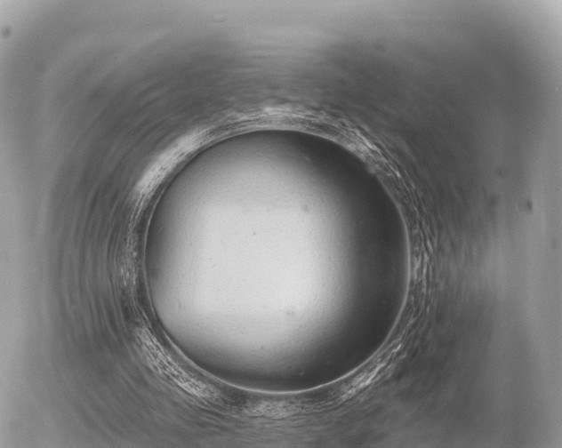 X0000055990341200508261730