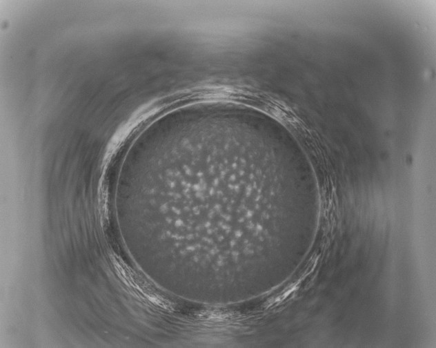 X0000055990343200508261730