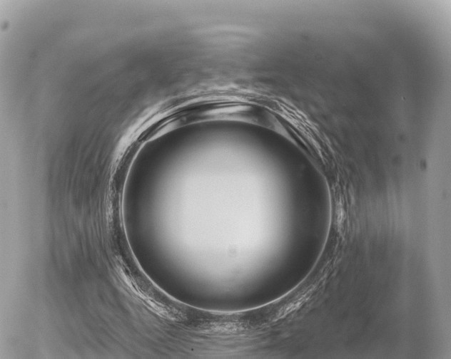 X0000055990344200508261730