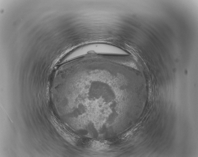 X0000055990346200508261730