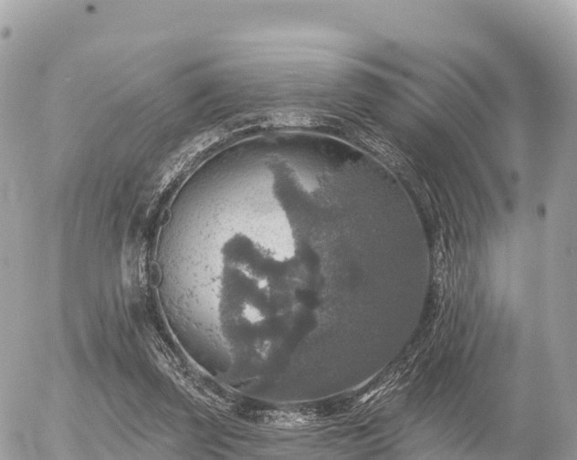 X0000055990347200508261730