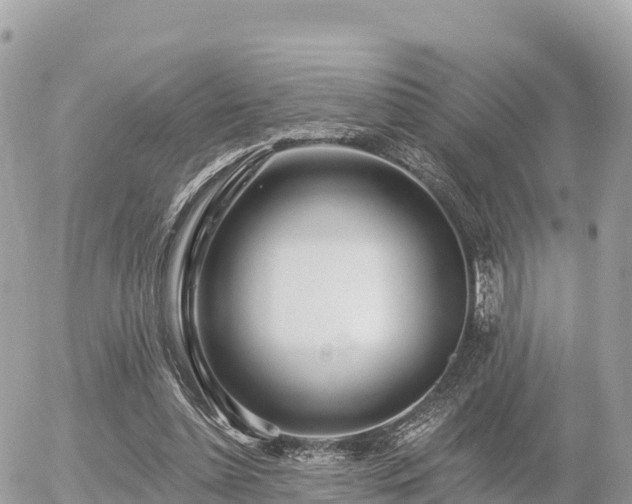 X0000055990348200508261730