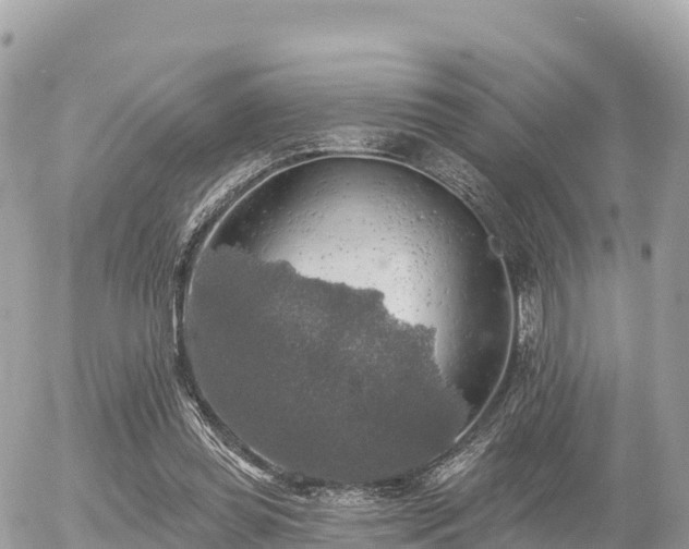 X0000055990349200508261730