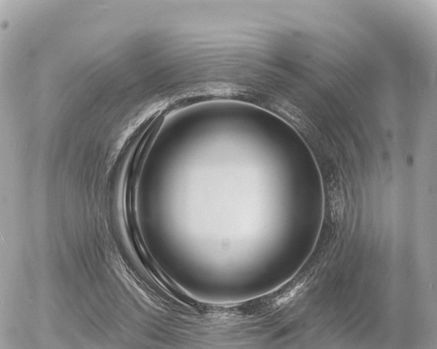 X0000055990350200508261730