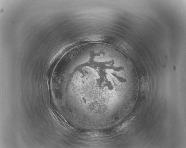 X0000055990351200508261730