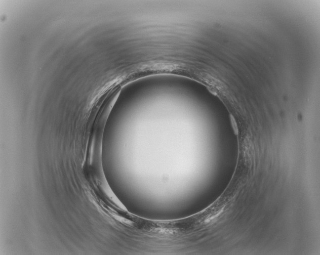 X0000055990352200508261730