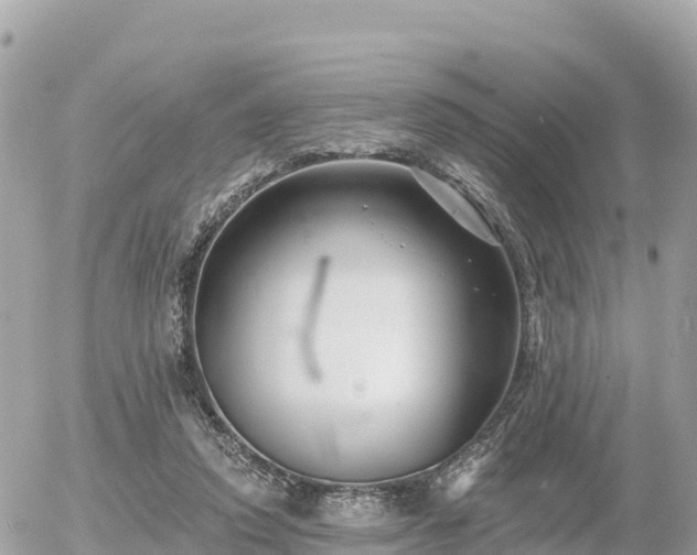 X0000055990354200508261730