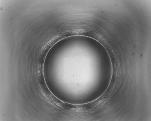 X0000055990356200508261730