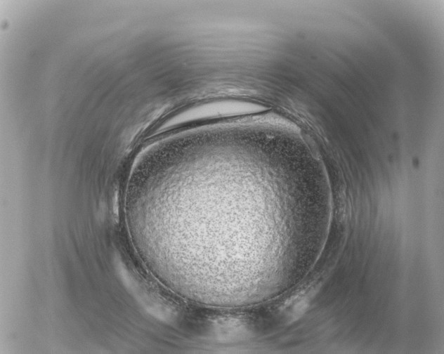 X0000055990358200508261730