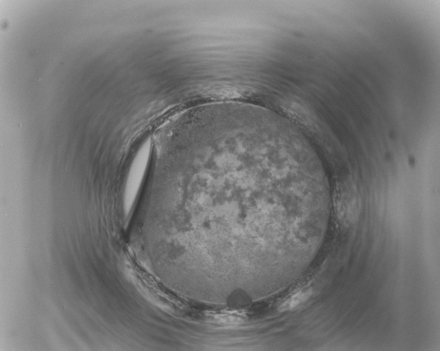 X0000055990359200508261730