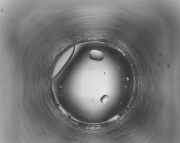 X0000055990362200508261730