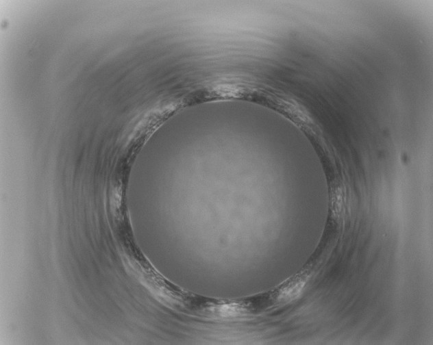 X0000055990365200508261730