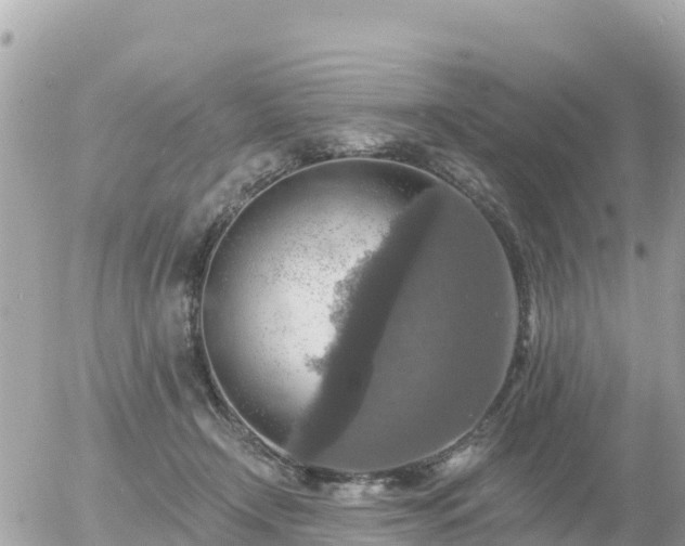 X0000055990366200508261730