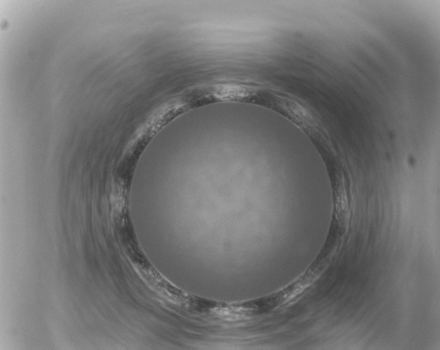 X0000055990367200508261730