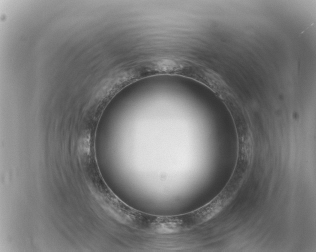 X0000055990368200508261730