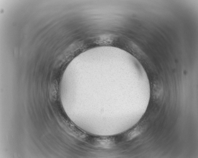 X0000055990370200508261730