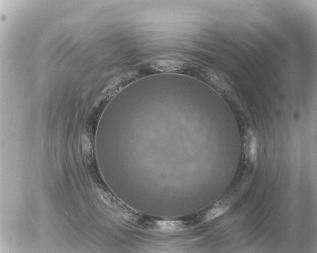 X0000055990371200508261730