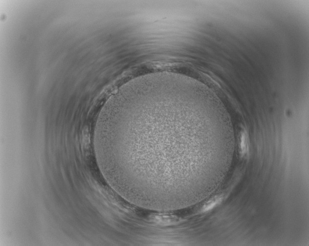 X0000055990372200508261730