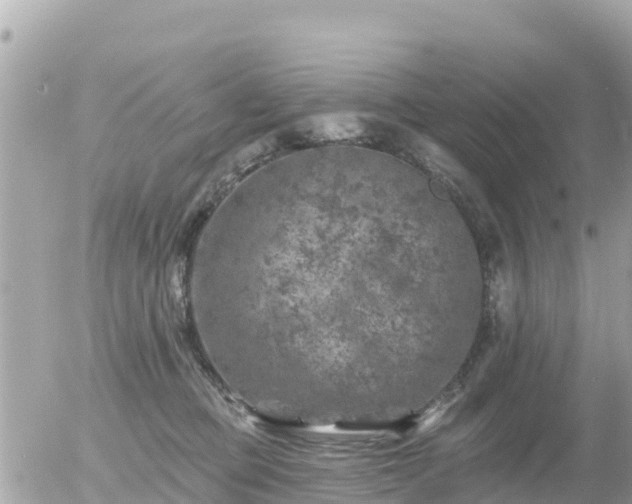 X0000055990373200508261730