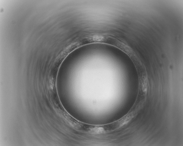 X0000055990374200508261730