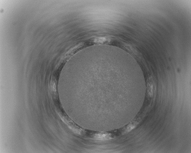 X0000055990375200508261730