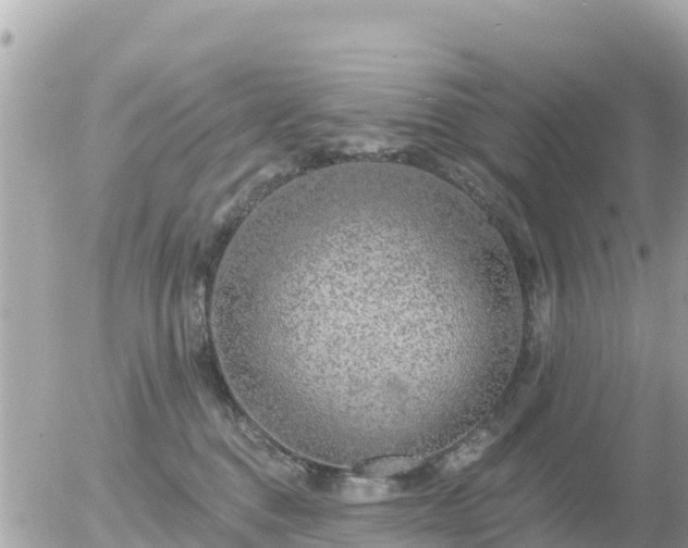 X0000055990376200508261730