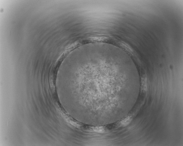 X0000055990377200508261730