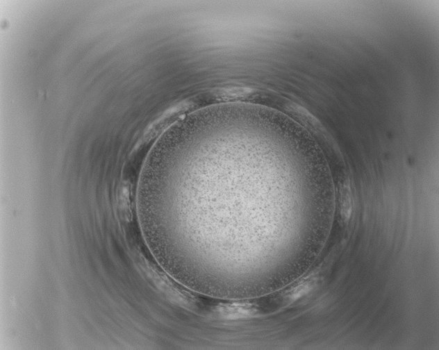 X0000055990378200508261730