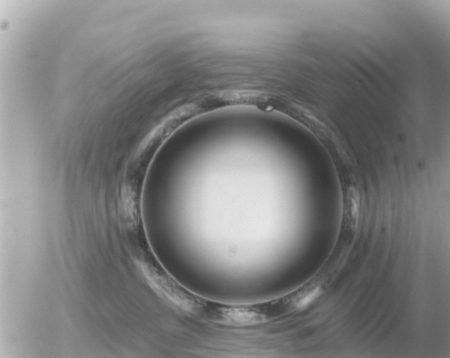 X0000055990380200508261730