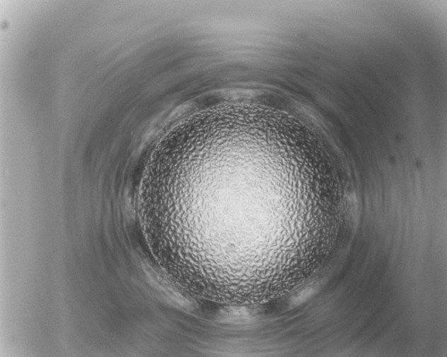 X0000055990381200508261730