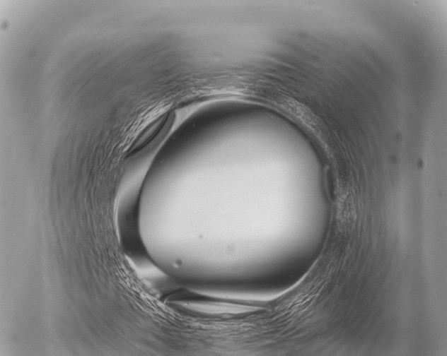 X0000055990385200508261730