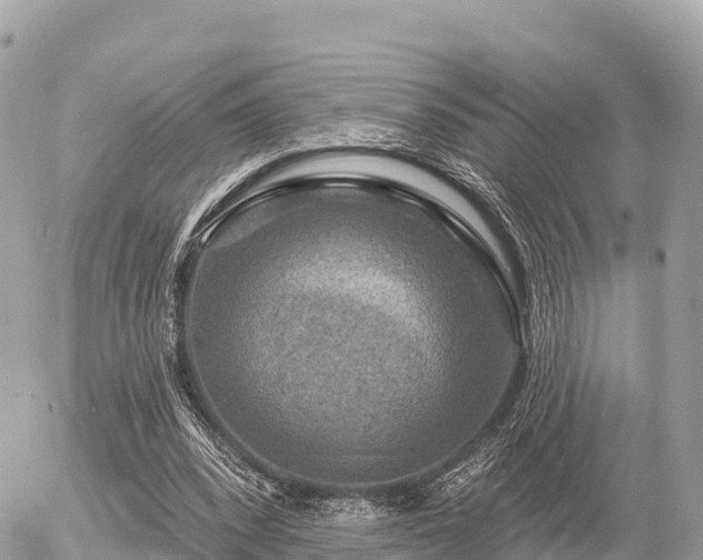 X0000055990392200508261729