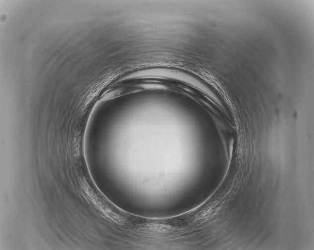 X0000055990393200508261729