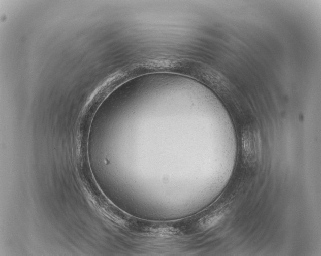 X0000055990396200508261729