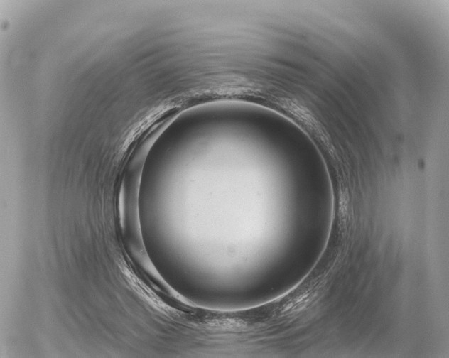 X0000055990397200508261729