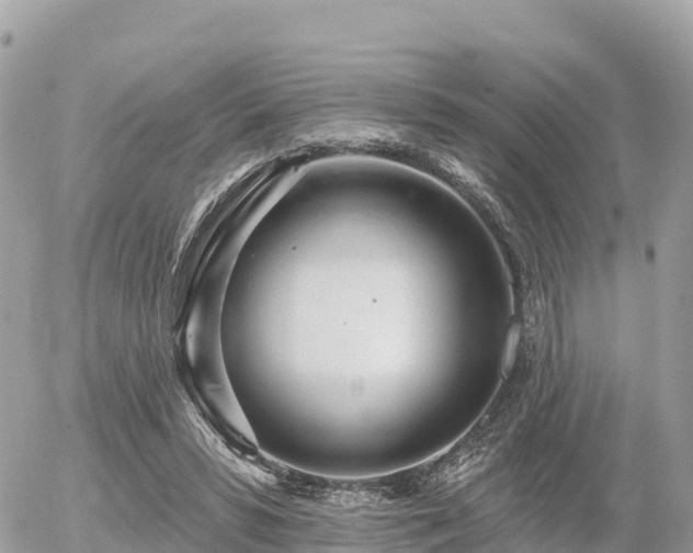 X0000055990399200508261729