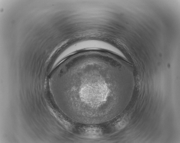 X0000055990400200508261729