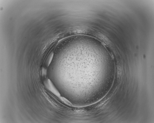 X0000055990401200508261729