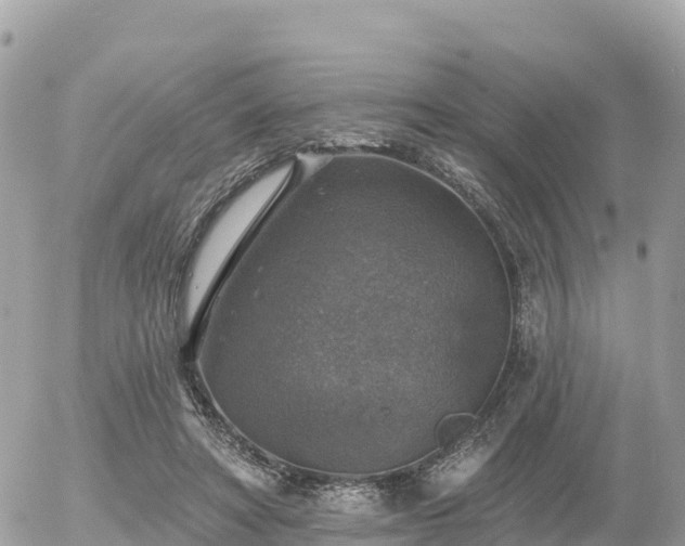 X0000055990402200508261729