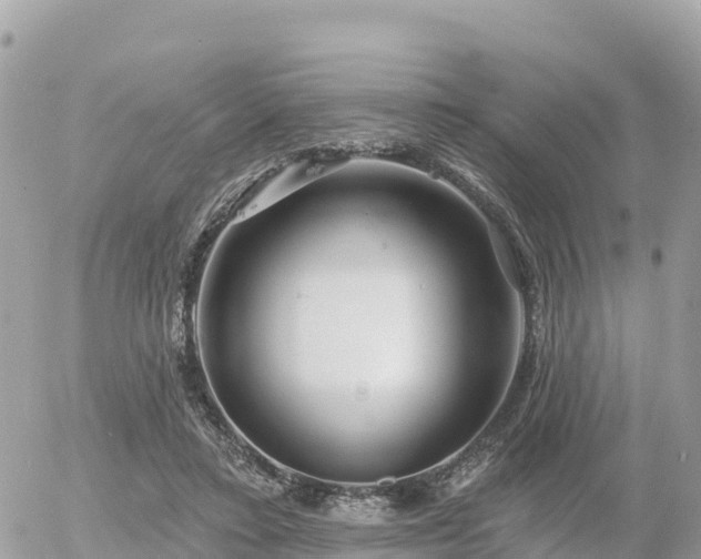 X0000055990403200508261729