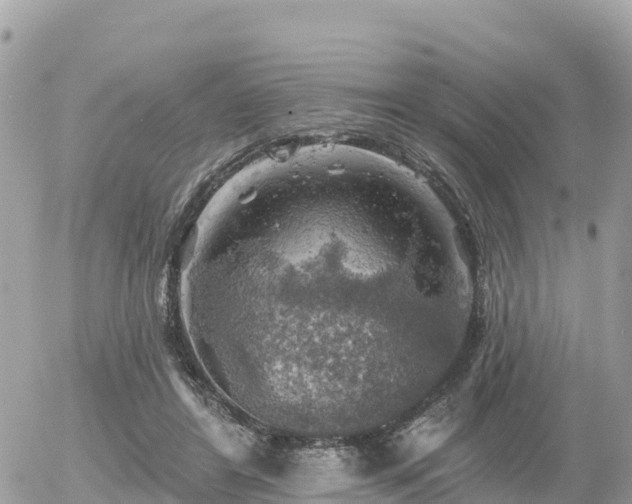 X0000055990404200508261729