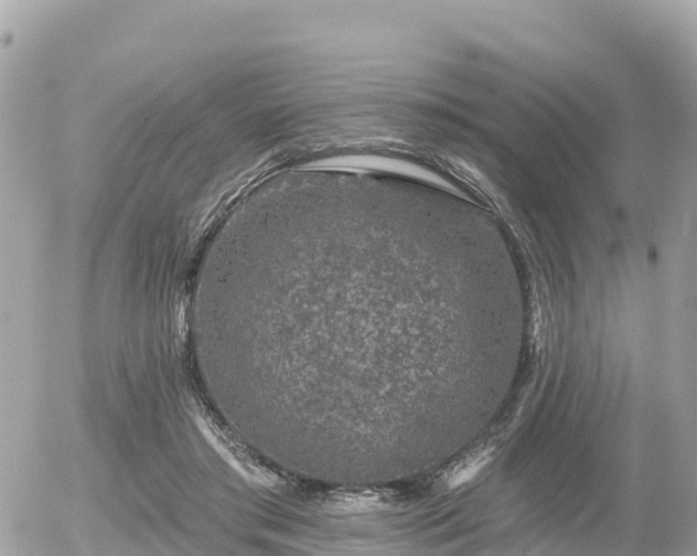 X0000055990405200508261729