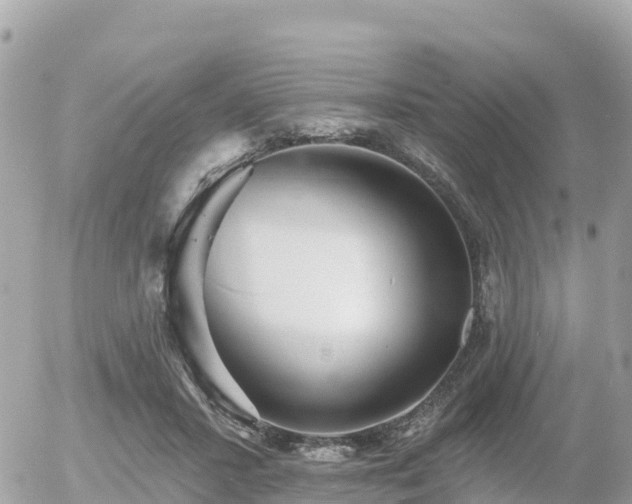 X0000055990407200508261729