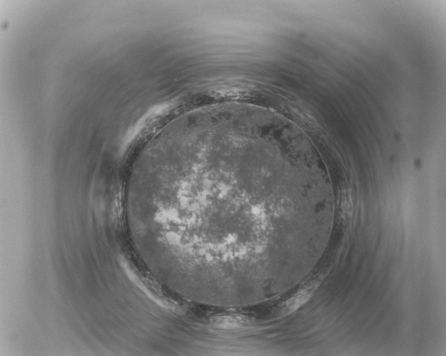 X0000055990408200508261729