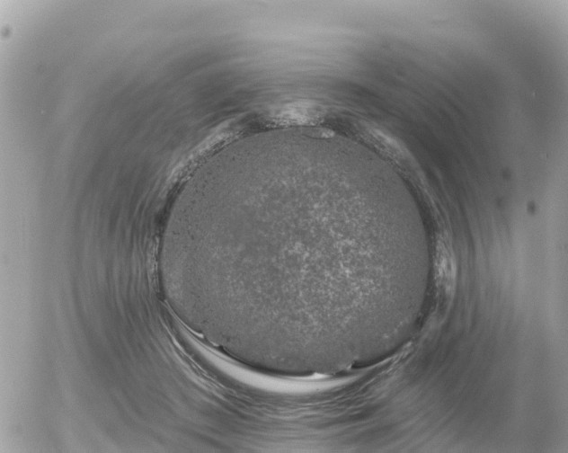 X0000055990409200508261729