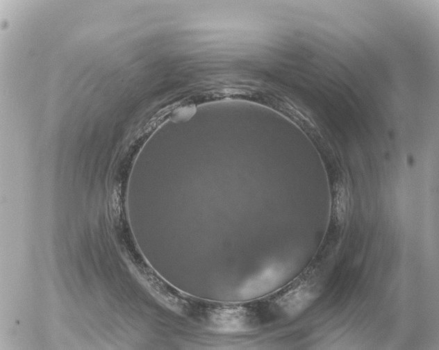 X0000055990410200508261729