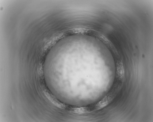 X0000055990411200508261729