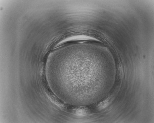 X0000055990412200508261729